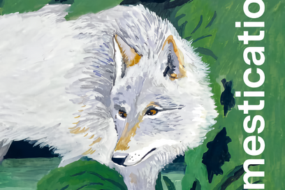 La Domestication à l’œil nu, Jean-Denis Vigne et Mélodie Baschet, CNRS éd., 2024, 160 p., 22 €. - Sciences Humaines n°373