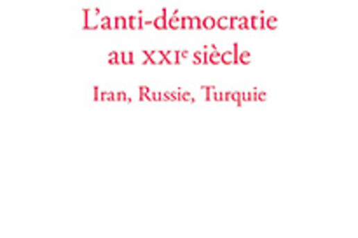 16260967980_Hamit-Bozarslan.democratie.jpg
