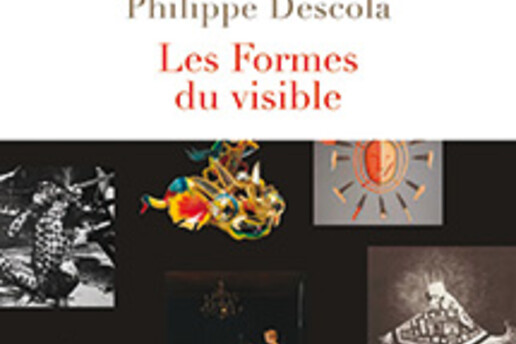 16339447420_Les-formes-du-visible.jpg