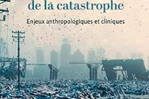 16970900350_Psychanalyse-de-la-catastrophe.jpg