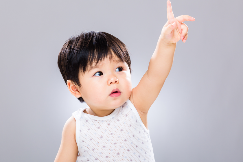 Bébé vote - Sciences Humaines n°372