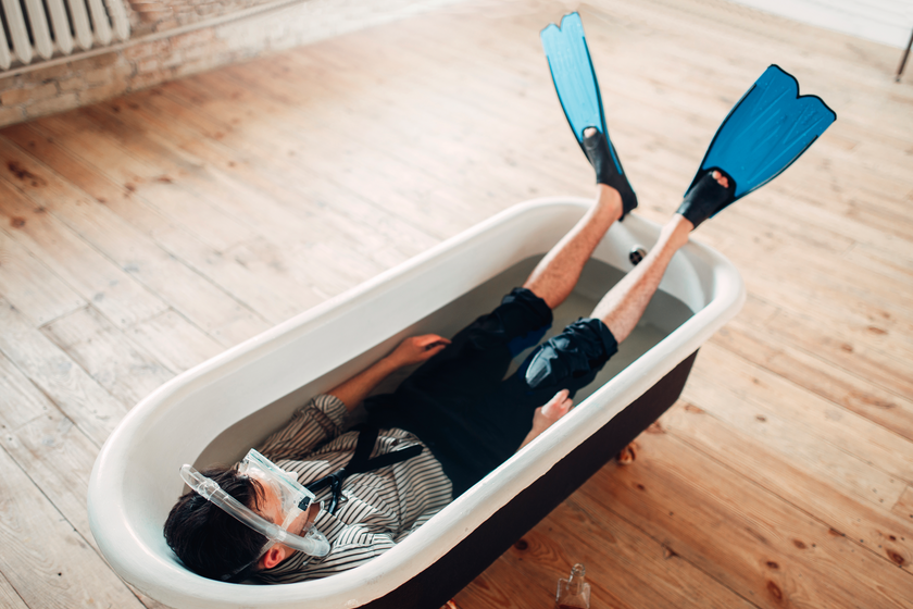 Postcovid : animal triste - Les Grands Dossiers des sciences humaines n°76