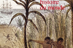16026665490_Histoire-du-sucre.jpg