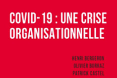 16106433300_covid19.crise.orga.jpg