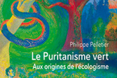 16491653360_PuritanismeVert.jpg