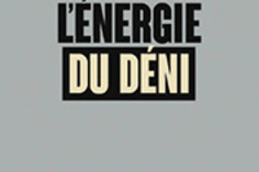 16521070350_L.energie-du-deni.jpg