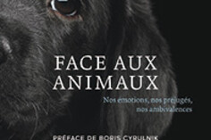 16521072050_Face-aux-animaux.jpg