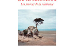 16734337700_Les-sources-de-la-resilience.jpg
