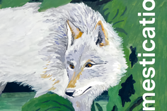 La Domestication à l’œil nu, Jean-Denis Vigne et Mélodie Baschet, CNRS éd., 2024, 160 p., 22 €. - Sciences Humaines n°373