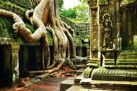 1558948474_ANGKOR.png