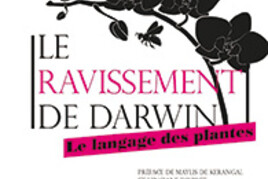 16133856440_ravissement.darwin.jpg