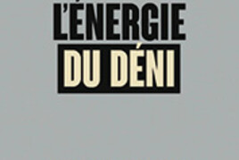 16521070350_L.energie-du-deni.jpg