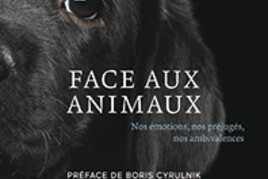 16521072050_Face-aux-animaux.jpg