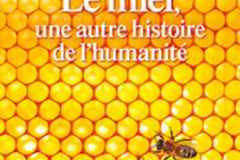 16551934050_Le-miel.jpg