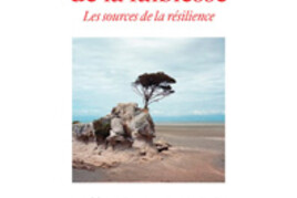 16734337700_Les-sources-de-la-resilience.jpg