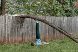 L'écoanxiété : un troublant mal de Terre - Les Grands Dossiers des sciences humaines n°76